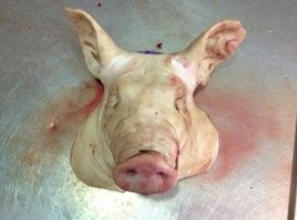 Сначала нужно купить голову
************************
ЗАЧЕМ её покупать? В стране 404 навалом по "зелёнкам" валяется. БЕСПЛАТНО!!!