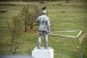 Зачем вороны клюют других животных за хвост