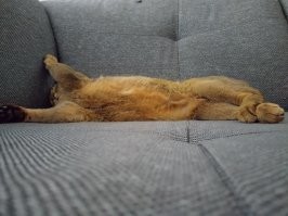 Жарко было очень )))