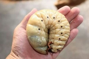 Приятного!