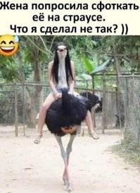 Изуродовал страуса.