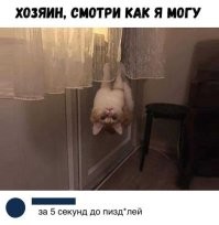 Не виноватая я, оно само так получилось!