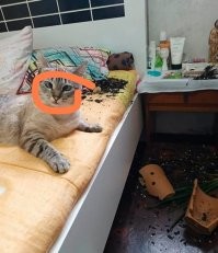 Он не видел что творит