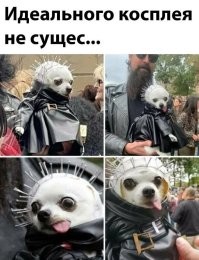 На общую тему
