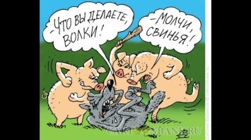 Йожика картинки. Выпуск 219