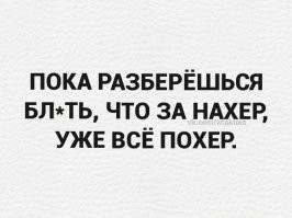 Йожика картинки. Выпуск 219