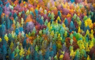 Йожика картинки. Выпуск 219