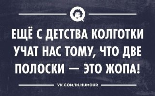 Йожика картинки. Выпуск 219