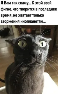 Мне всё больше кажется, что это единственная надежда человечества: что прилетят инопланетяне и наведут здесь порядок.