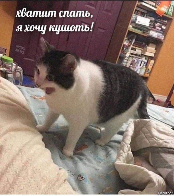Так для этого и залез , что бы проснулись ... )))