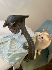 Незаменимая вещь (садоводы меня поймут).  Я каждую осень руками косточки удалял. В этом году, одна известная на нашем сайте девушка, предложила трубочкой для коктейля. Большой респект ей и не шумных соседей!