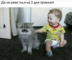 Йожика картинки. Выпуск 219