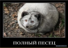 Намешалось