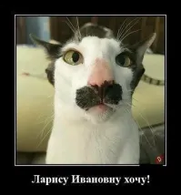 А эти за-то чисто домашние.