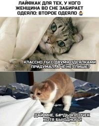 Кровать надо другую и проблем не будет.