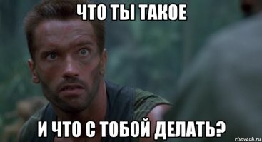 Барсик в акуе)))