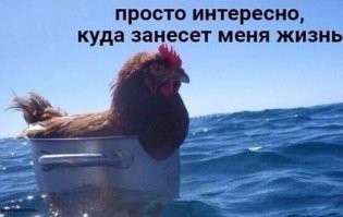 так уже поздно интересоваться  если ты уже в кастрюле. чуток лапши, картошечки и всё, жызня завершена