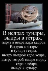 Есть так же городок Выдропужск в Тверской области.