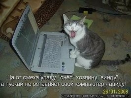 Скрины из соцсетей