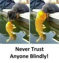 Вечерние картинки на позитиве