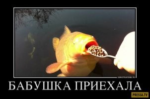 Вечерние картинки на позитиве
