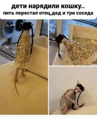 Намешалось