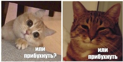Йожика картинки. Выпуск 220