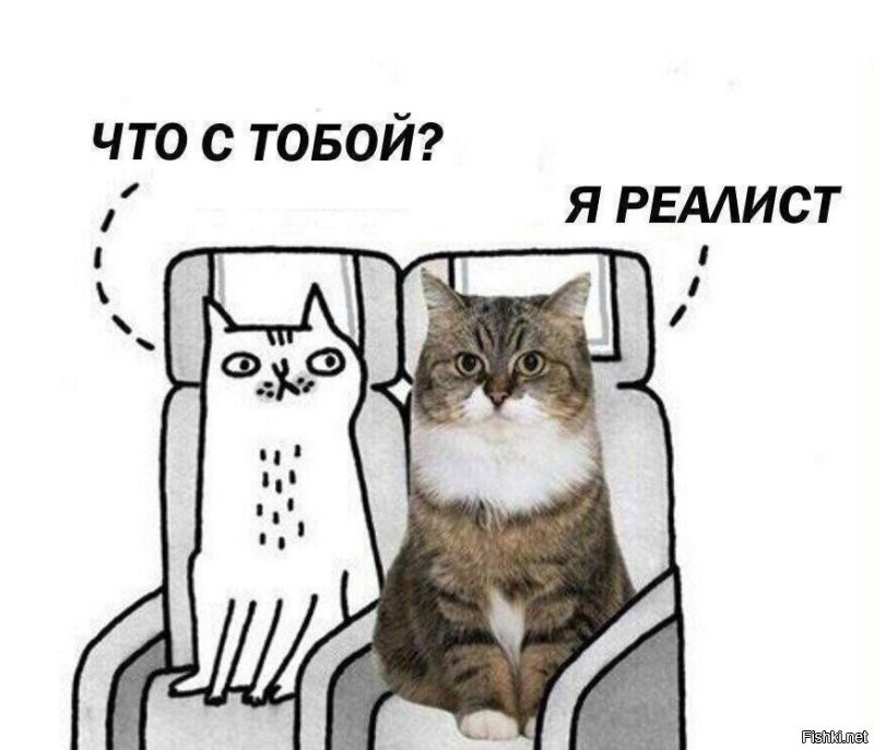 Солянка от 07.10.2022