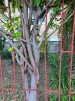 Йожика картинки. Выпуск 220