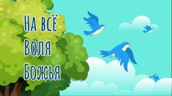 11 необычных вещей в Южной Корее