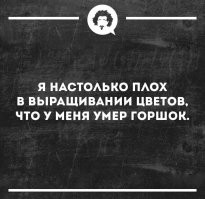 Ходил сегодня в парк где растут дубы, хотел насобирать желудей и за зиму вырастить саженец дуба, но желуди уже опали и остался я с пустым горшком для саженца.