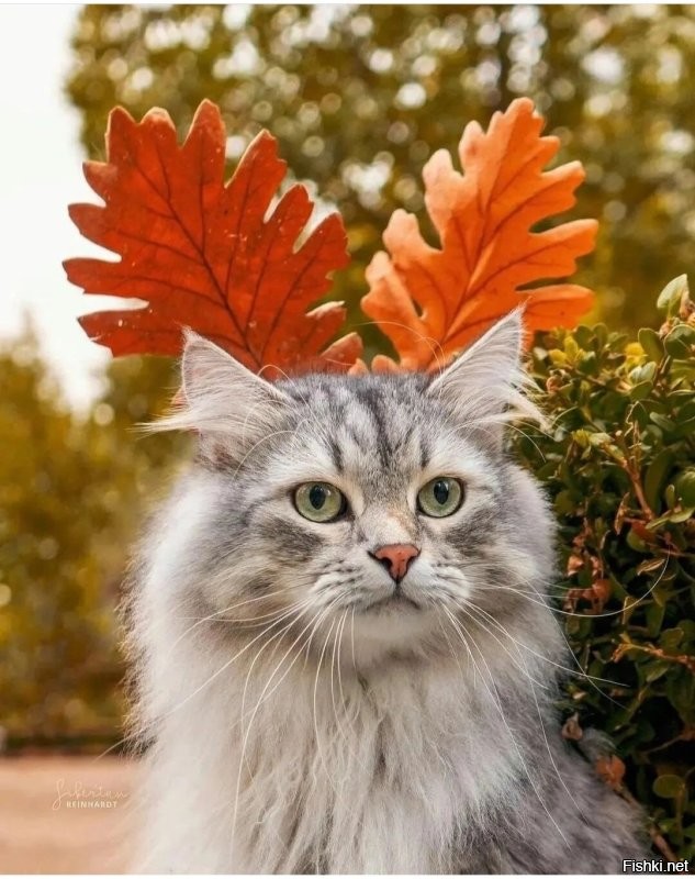 Так ..? )))