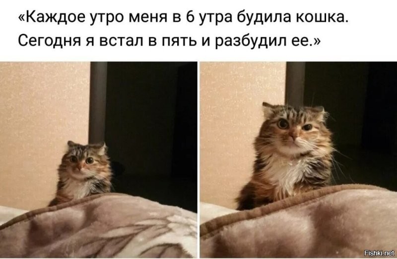 Солянка от 08.10.2022