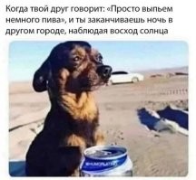 Когда-то, по молодости, я так проснулся в Питере, хотя садился бухать в Витебске))). Выяснилось: мы с приятелем укатили туда потому что я сказал что надо попить кофе, а в Питере есть много толковых кофеен. Сказано - сделано (поехали пить Вкусный кофе))).