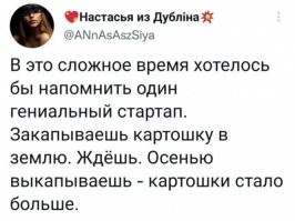 только в случае, если посажено было сажалкой. Потом выбраная должна просохнуть, её нужно перебрать и опустить в подвал. На селе под это дело всё всегда несколько дней самогон гонят и поросёнка режут. Ну а теперь, когда ты "просто подождал", посчитай смету от старта до финиша и дай себе очередной зарок - Больше никогда! Только на рынке! Ох уж эти мне эти диванные эксперты, для которых колорадскй жук, это ушлый американскй бизнемен...