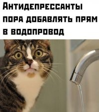 Где-то читал, что таки да, в воду действительно добавляют, какой-то химикат тормозящий "безумие". Насчет России не знаю, но на западе революций теперь меньше. Вспомните, как хипаны бузили против войны во Вьетнаме. И эта буза сработала. А потом в водичку стали чего-то добавлять, и пиндосы стали квёлые. Теперь почти не бузят. На войну в Ираке и Афгане клали с прибором, протестов не было.