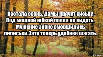 Вечерний марафон юмора и позитива
