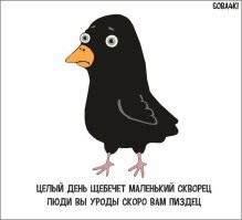 Вечерний марафон юмора и позитива