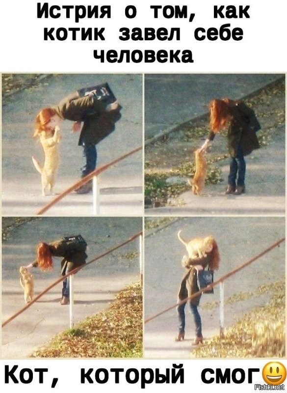 Солянка от 09.10.2022