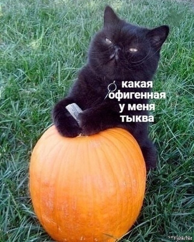Солянка от 09.10.2022