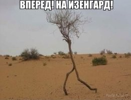 Дерево, которое способно путешествовать по джунглям