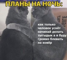 Какой спокойной ночи!!!
