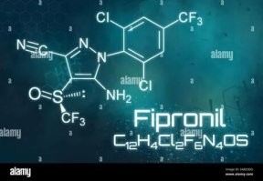 Тараканов бессмысленно давить тапкам или пшикать аэрозолем. Они живут гнёздами, и удар надо наносить по гнезду. И так как гнездо чаще всего вне вашей досягаемости, возможно даже в соседнем помещении, вести войну с этими товарищами надо биологическую.  Тараканы практически всеядны, они каннибалы, и они курсируют по химическому следу своих собратьев.. Если один таракан где-то сытно похавал и прибежал в гнездо весело пританцовывая и потрясывая брюшком, будьте таки уверены, что по его маршруту побегут его коллеги. 
Шаг первый, не надо разводить дома грязь, а это не только еда, но и пыль, состоящая большей частью из отмерших клеток кожи человека, которую тараканы тоже едят, и по минимуму должно быть открытой доступной воды, которую они любят пить.. Если у вас поживиться нечем, то и усатые ребята к вам особо бегать не будут, они всё таки выжить пытаются и ищут где пропитание в избытке.
Шаг второй, надо купить средство с содержанием фипронила (порошок, гель) который аккуратно нанести в местах их наиболее вероятных маршрутов (около вентиляции, под раковиной, под холодильником, газовой плитой итд). Таракан почуяв вкусную приманку, быстро прибежит и начнёт кушать питательную смесь, после чего убежит к своим и рассхвастает коллегам о дармовом фураже. После чего прибегут остальные.. сразу они не помрут, а вот в течении  пары суток, всех кто полакомился у вас в гостях - хватит внезапный паралич нервной системы, и они преимущественно будут помирать в гнезде, откуда уже не в силах будут бегать самостоятельно из-за угасания активности ЦНС (или что у них там?), а надеяться что братаны принесут чего похавать, наступающая слабость сделает их обузой для своих.. и когда они помрут, остальные тараканы с радостью захомячат их трупы, которые будут полны "живительного" фипронила, тем самым перезаразятся, если по какой-то причине не смогли самостоятельно скататься до ваших кормушек. В течение недели - гнездо опустеет. Но останется отека, кладка яиц, откуда вылупятся новые тараканы. Для них мы любезно, ровно через 2 недели после первой стадии, снова расставим новые прикормки, пожрав которые, эти уже ребята не успеют выполнить цикл воспроизводства потомства и так же загунтся как и их предки.
Я таким образом, при переезде, вытравил тараканов не только у себя, но ещё и у одной антисоциальной личности, живущей со мной на одной лестничной клетке, через квартиру.