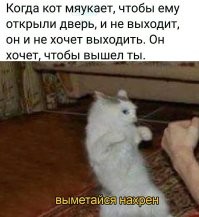 Йожика картинки. Выпуск 222