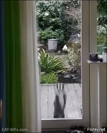 И я! И я обожаю!