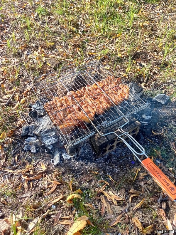 В молодости мы испортили не один пуд мяса, самого разного, включая курятину. Не сжёг, значит недожарил, дожарил, значит сжёг. Это ведь плов, блюдо, которое невозможно испортить, а с шашлыком всё намного сложнее и в то же время, всё намного проще. В чем мы только его не замачивали, в пиве, минералку, просто обсыпали приправами и оставляли на сутки в холодильнике...