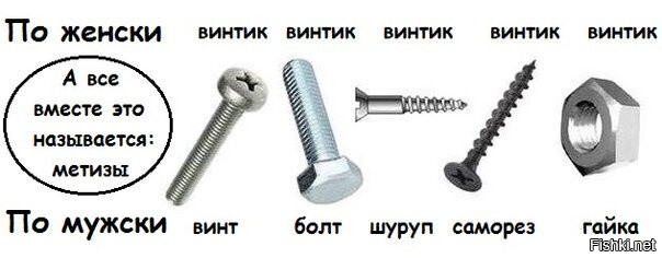 Винтик. Шуруп винт болт отличия. Болты шурупы саморезы отличия. Болтик Винтик шуруп саморез. Болт шуруп саморез винт разница
