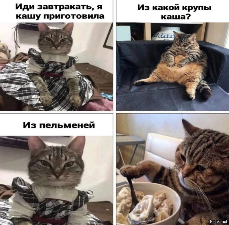 Солянка от 10.10.2022