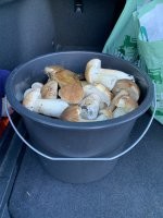 У нас тоже есть интересная деревня , правда очень красивая и живописная ,  вчера вот так и повернул на Х :) потом еще и друга послал который мне сказал что там грибов просто до Х . Итог печальный , большой пакет и строительное ведро , часть заморозил , часть замариновал и пережарил . С женой думали что больше будет а закрутил только 5 банок .