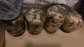 У нас тоже есть интересная деревня , правда очень красивая и живописная ,  вчера вот так и повернул на Х :) потом еще и друга послал который мне сказал что там грибов просто до Х . Итог печальный , большой пакет и строительное ведро , часть заморозил , часть замариновал и пережарил . С женой думали что больше будет а закрутил только 5 банок .